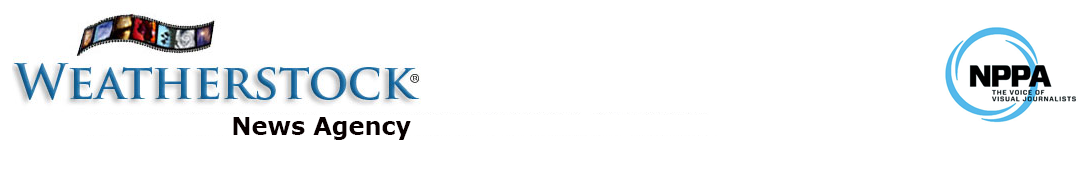 Weatherstock News and Picture Agency Logo